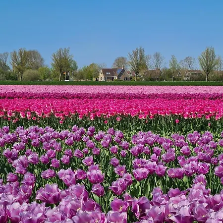 شاليه 501b Op Recreatiepark De Wielen سينت مارتن